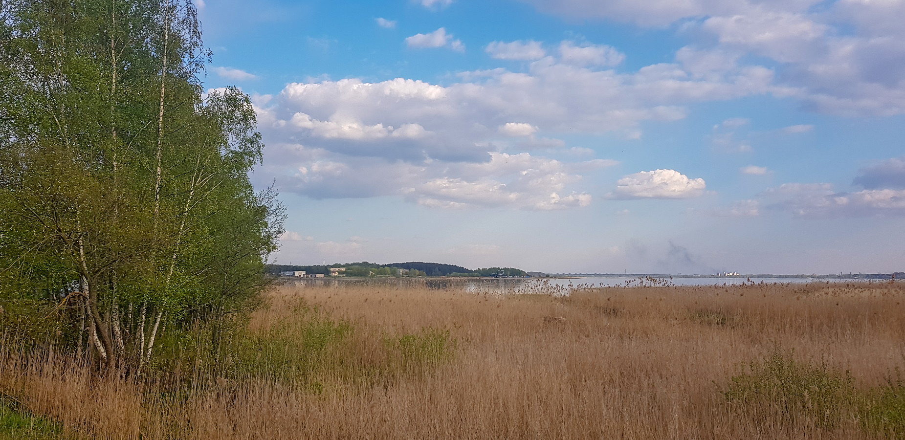 Jaunciema dabas liegums