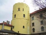Свинцовая башня Рижского замка 2008 г.