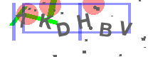 изображение Captcha