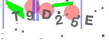 изображение Captcha