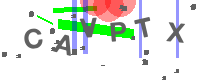 изображение Captcha