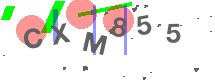 изображение Captcha