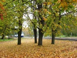 Парк Победы осенью
