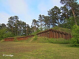 Baložkalna kāpa, 23.05.2020.