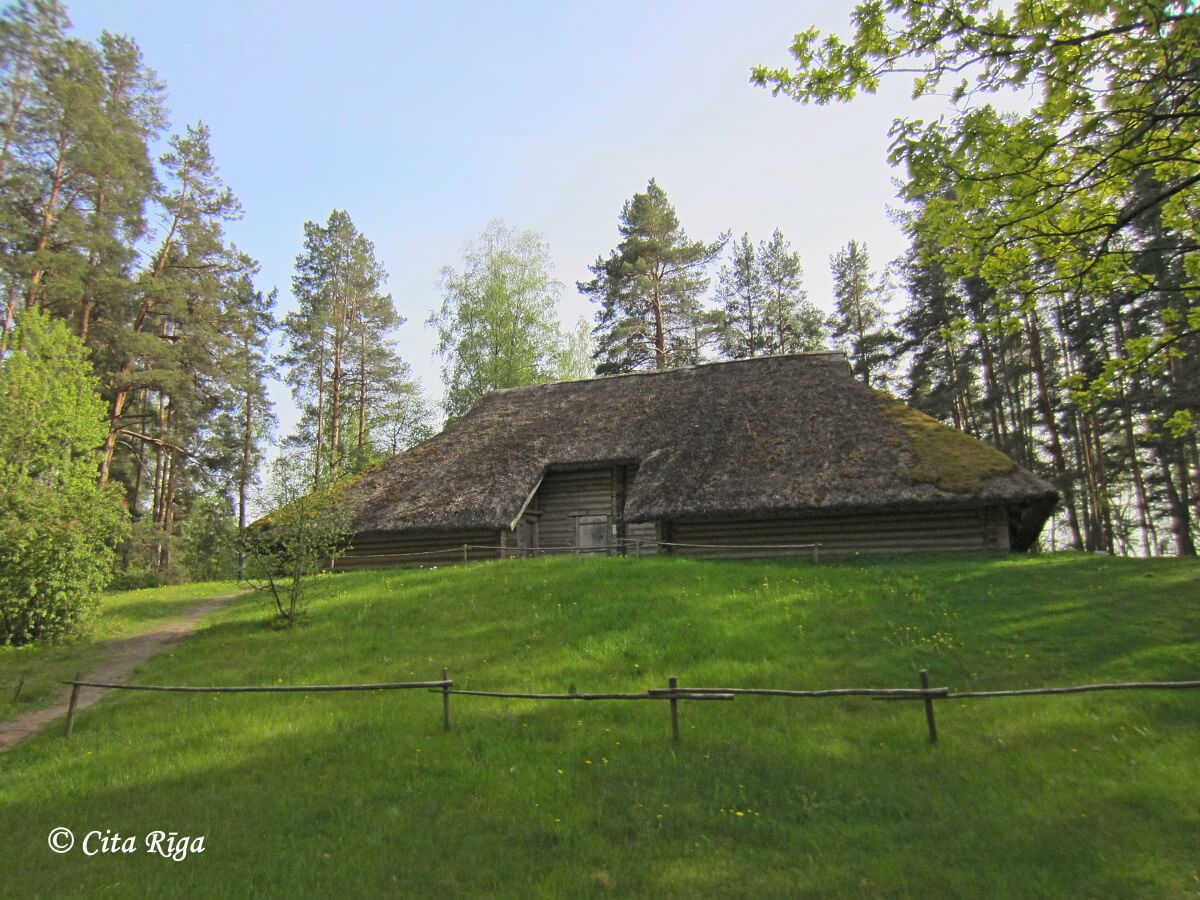 Vidzemes zemnieka sēta, rija, (nr. 45.), 23.05.2020.