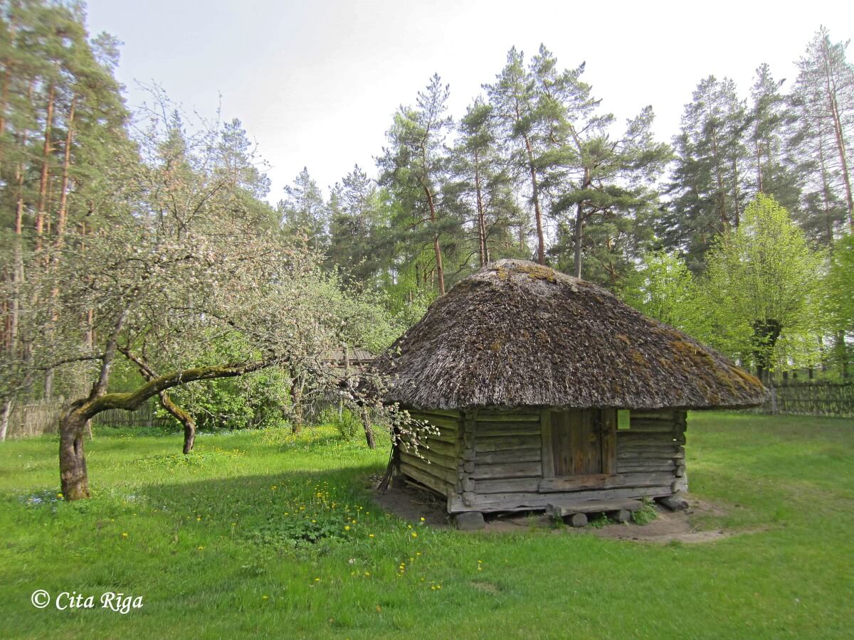 Vidzemes zemnieka sēta, ābolu klētiņa (nr. 56.), 23.05.2020.