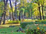 Большое кладбище, 11.10.2012