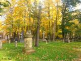Покровское кладбище, 18.10.2012