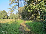 Brekšu muižas parks, 10.09.2021.