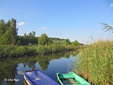 Piķurgas upe pie Brekšu mazdārziņiem, 10.09.2021.