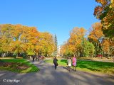 Верманский парк, 13.10.2013