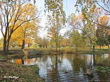 Vladimira Kudojara parks, 16.10.2019.