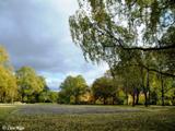 Grīziņkalna parks (1905. gada parks). 2010.g.