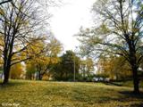 Grīziņkalna parks (1905. gada parks). 2010.g.