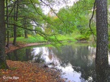 Dīķis pie Anniņmuižas ēkas, 06.10.2014