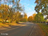 Buļļu iela, 11.10.2014