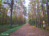 Anniņmuižas parks, 06.10.2014