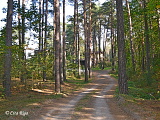 Jaunciema 10. šķērslīnija, 05.08.2020.