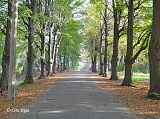 Jaunciema 4. šķērslīnija, 05.08.2020.