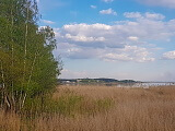 Dabas liegums „Jaunciems”, 01.05.2019.<br>Avots: commons.wikimedia.org/w/index.php?curid=78588154, Mārtiņš Bruņenieks