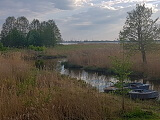 Природный заказник «Яунциемс», 01.05.2019.<br>Источник: commons.wikimedia.org/w/index.php?curid=78588153, Mārtiņš Bruņenieks