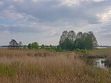 Природный заказник «Яунциемс», 01.05.2019.<br>Источник: commons.wikimedia.org/w/index.php?curid=78588157, Mārtiņš Bruņenieks