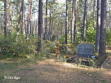 Яунциемское кладбище