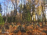 Новое еврейское кладбище, 23.10.2017