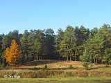 Juglas kāpas ap Bābelīša ezeru, 15.10.2017