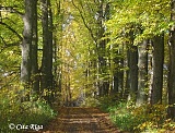 Strazdumuižas parks, 19.10.2017