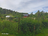 Mūkupurva apkaime Mūkupurva apkaime, 03.07.2020.