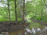 Mūkupurvs Mūkupurvs, 24.05.2020.