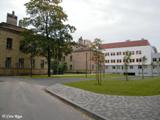 Bērnu klīniskā universitātes slimnīca. 2010.g.