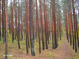 Природный парк «Piejūra», 30.09.2019.