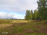 Dabas liegums „Vecdaugava”, 21.09.2022.