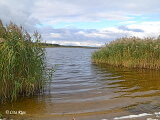 Dabas liegums „Vecdaugava”, 21.09.2022.