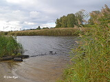 Dabas liegums „Vecdaugava”, 21.09.2022.