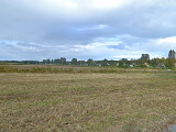 Dabas liegums „Vecdaugava”, 21.09.2022.