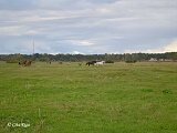 Dabas liegums „Vecdaugava”, 21.09.2022.